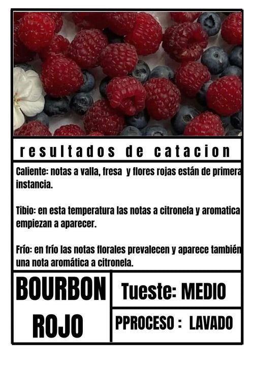 Alejandro's Borbón Rojo