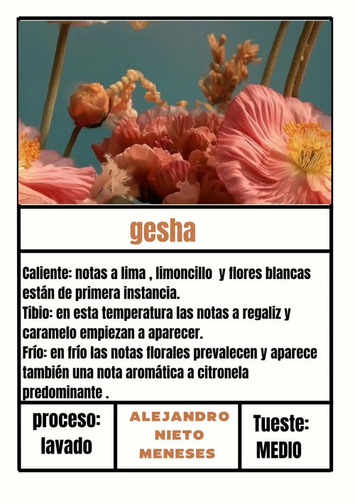 Alejandro's Gesha