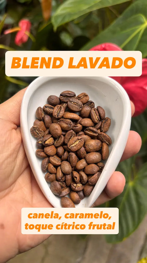 Blend Lavado