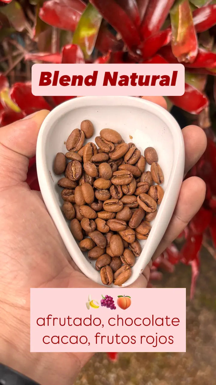 Combo Variedades Café Sur Huila