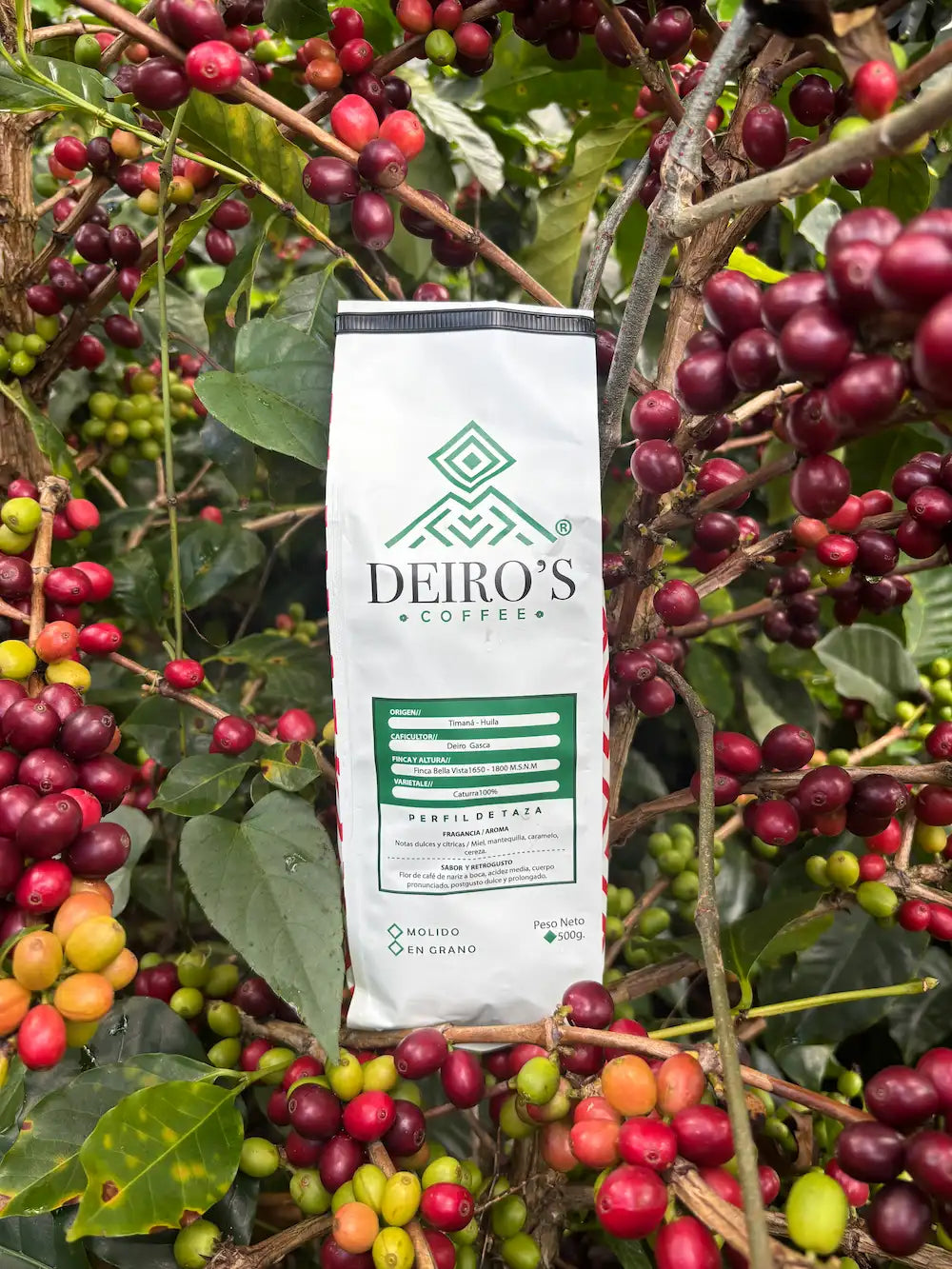 Deiro's Borbón Rosado