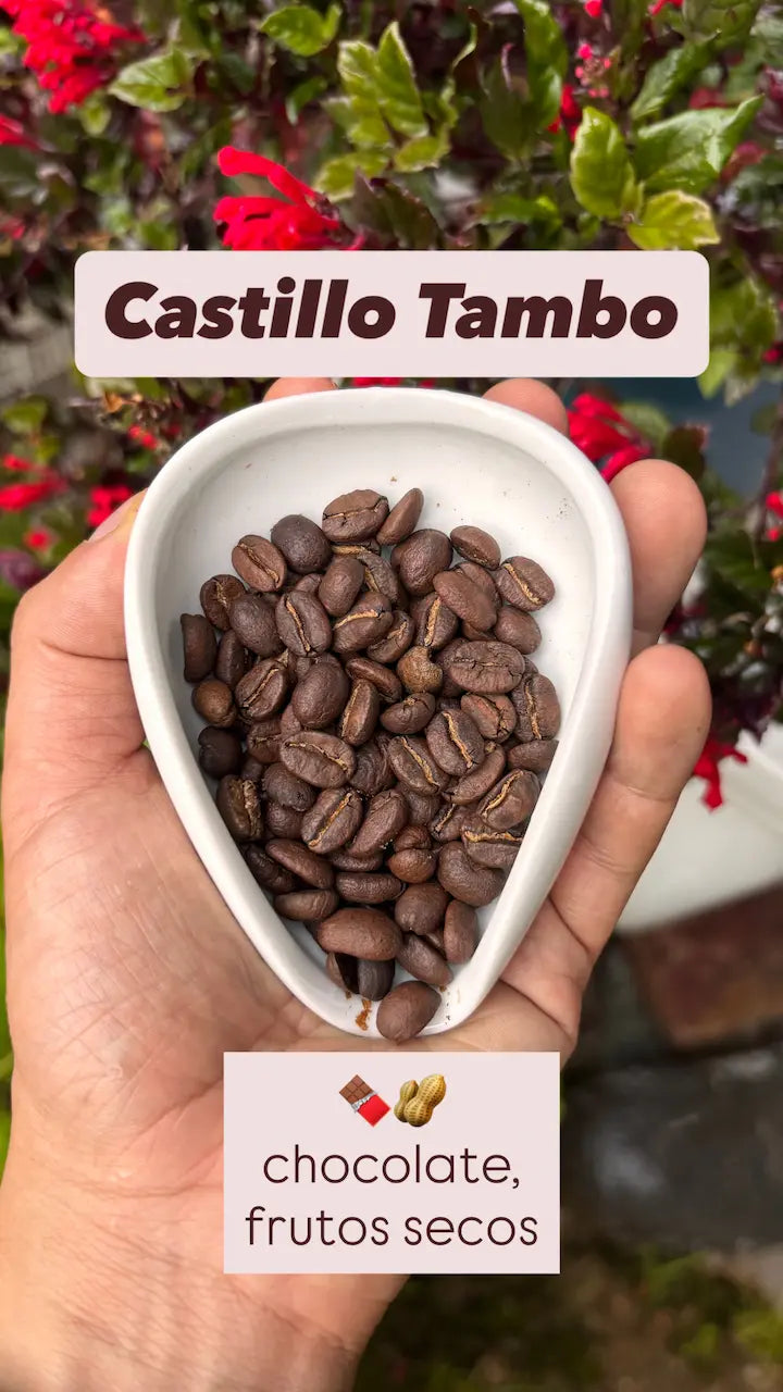 Combo Variedades Café Sur Huila