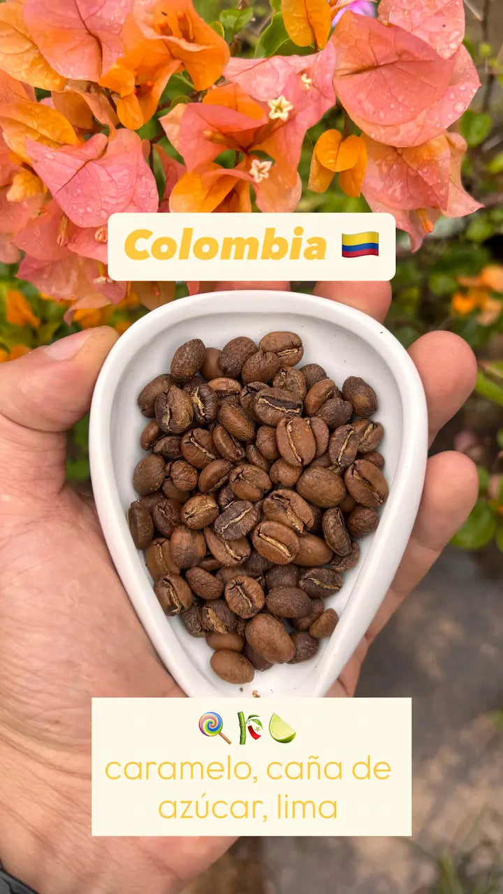 Combo Variedades Café Sur Huila