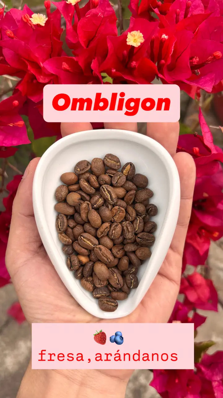 Combo Variedades Café Sur Huila