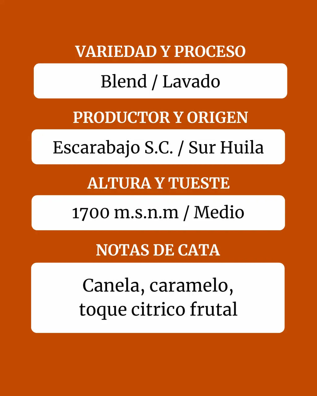 Blend Lavado