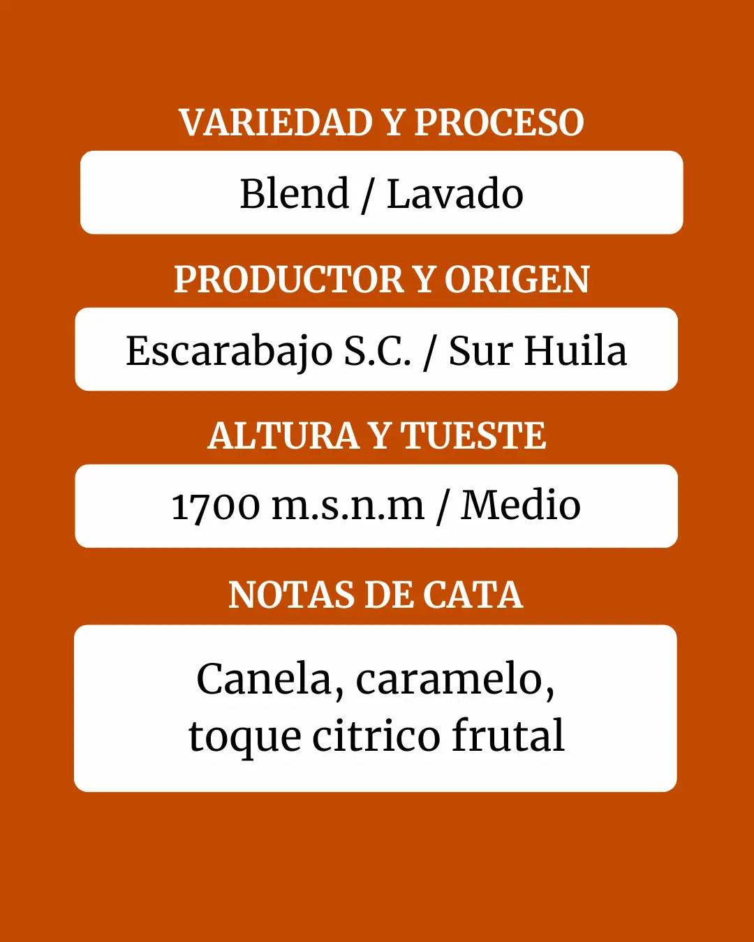 Blend Lavado