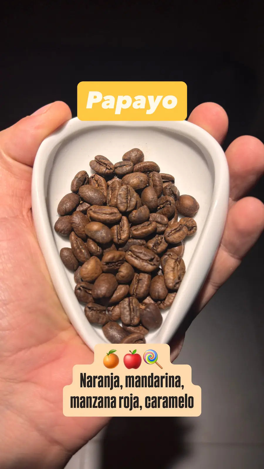 Combo Variedades Café Sur Huila