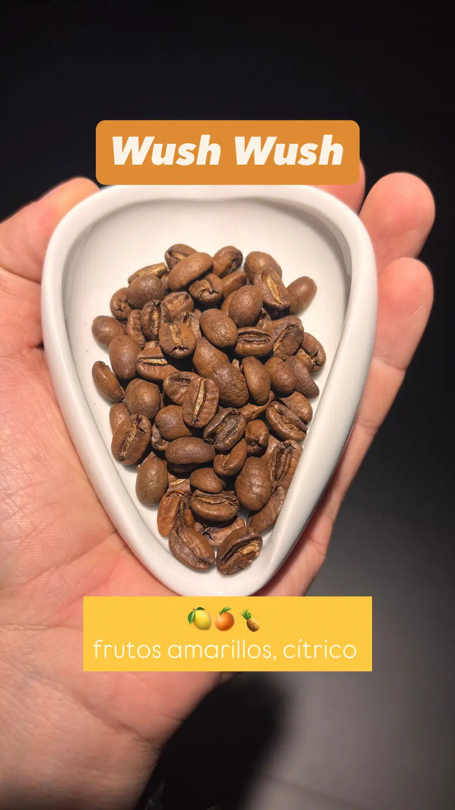 Combo Variedades Café Sur Huila